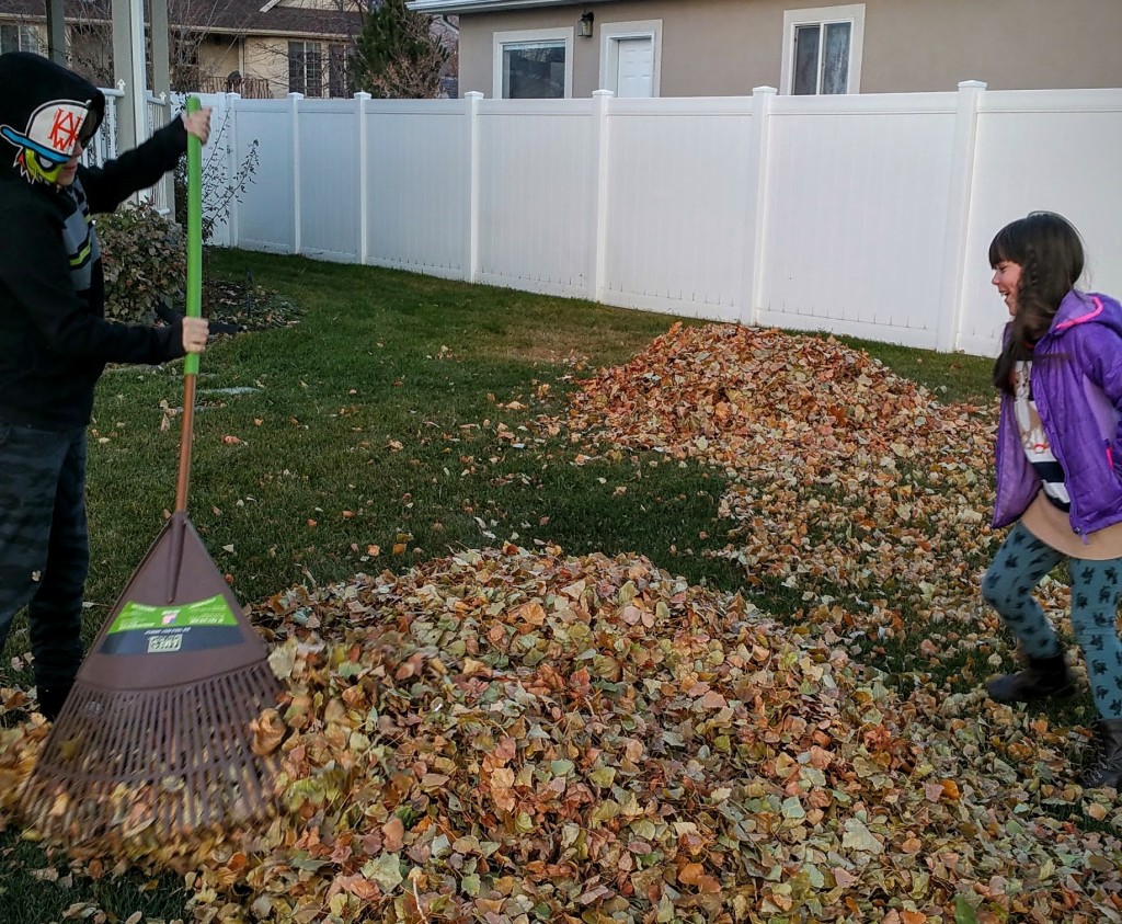 RakingLeaves