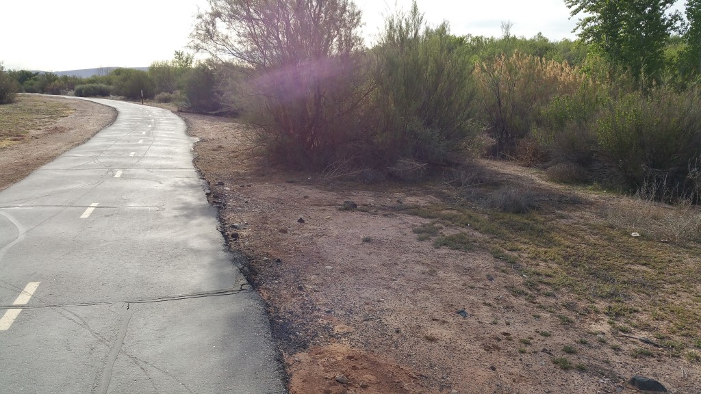 Along the Virgin River Trail